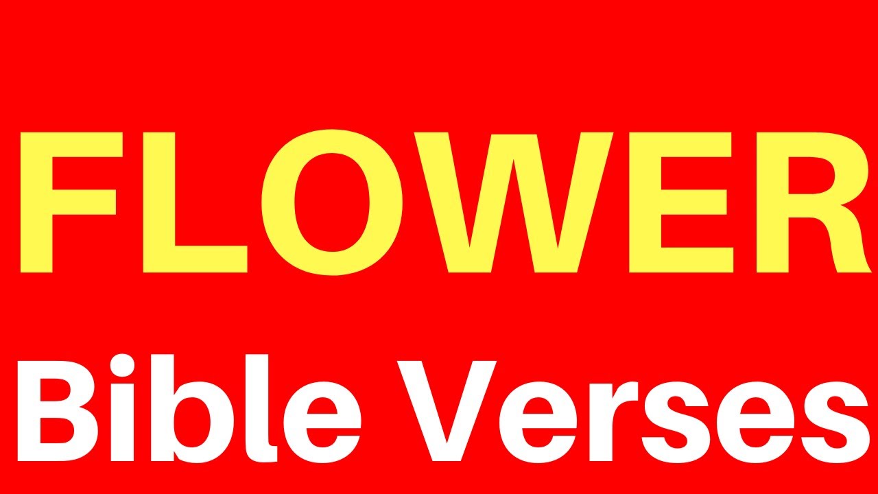 Bible Verses About Flowers: 7 Beautiful Inspirations to Cherish 8 bible verses about flowers