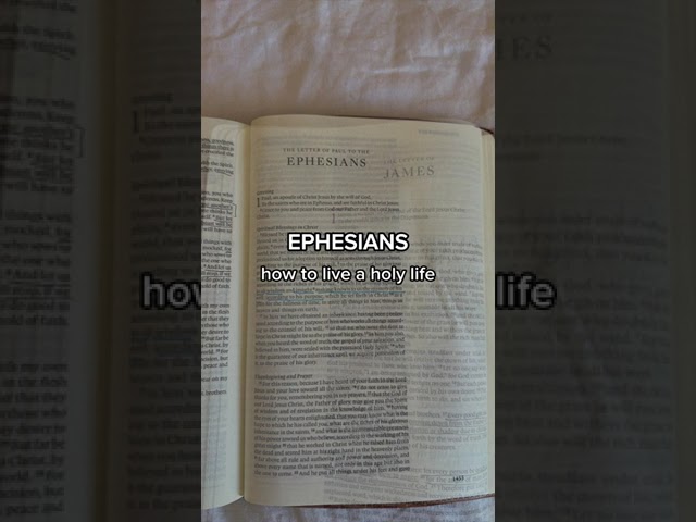 Books of Bible: 7 Surprising Facts You Didn't Know 9 books of bible