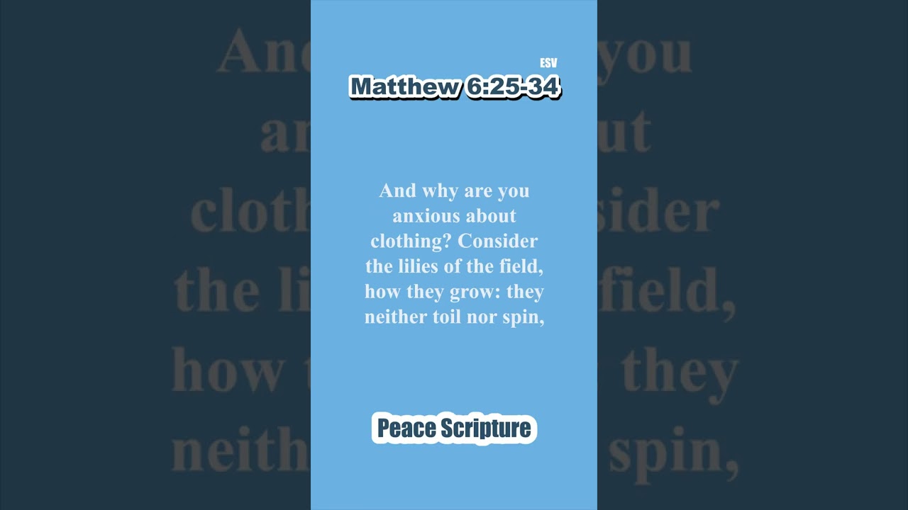 Consider the lilies verse: 7 insights for your peace in 2025 8 consider the lilies verse