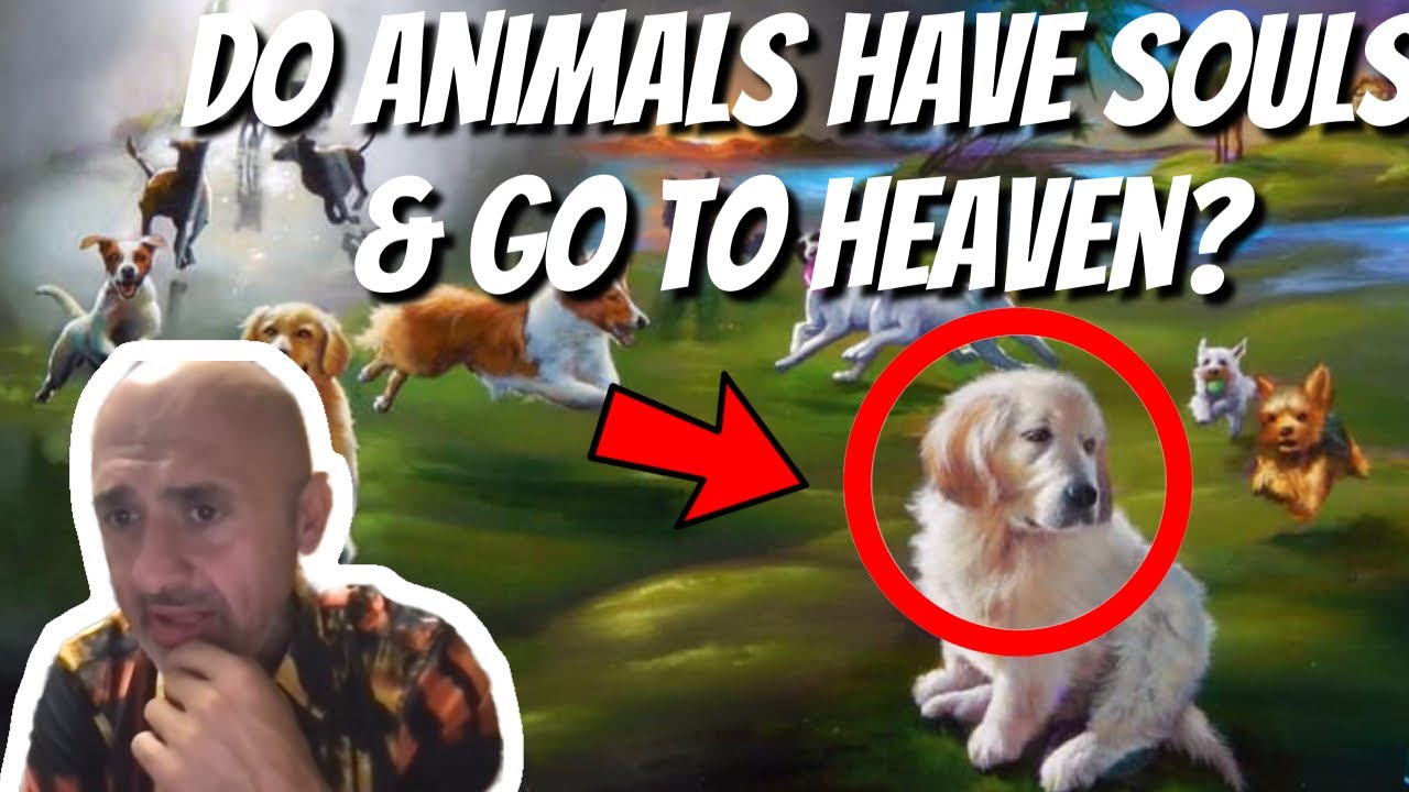 Do animals have souls? 7 intriguing insights revealed 8 do animals have souls