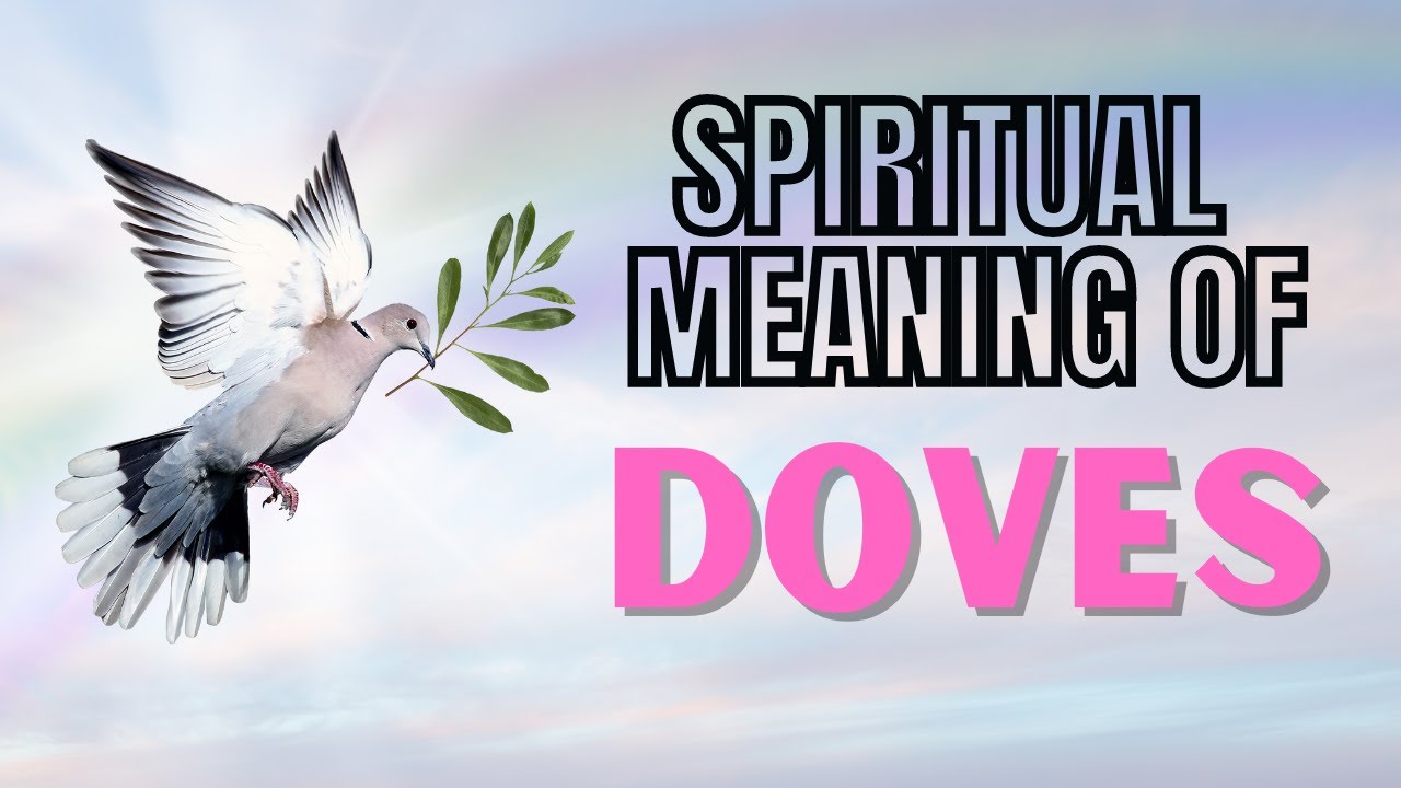 dove symbol