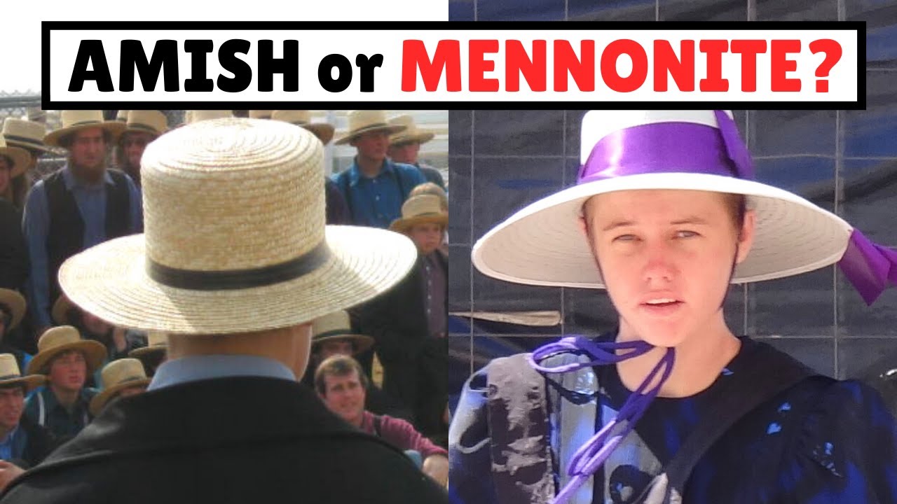 mennonites vs amish