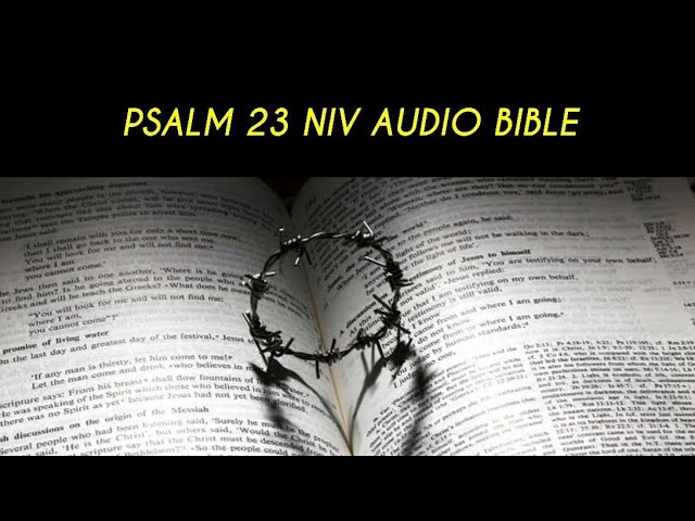 psalms 23 niv