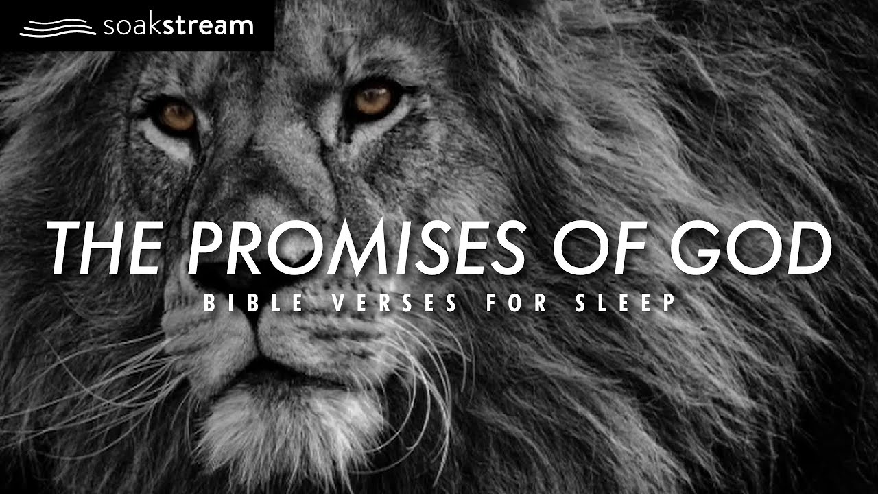 Verse to Remember: 7 Poetic Tips for Every Writer 7 verse