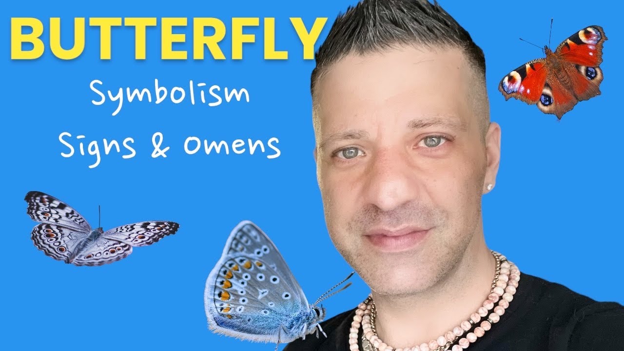 when a butterfly visits you