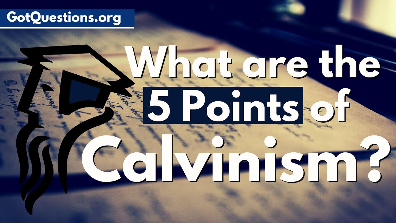 Calvinism Tulip: 5 Key Insights You Need to Know 8 calvinism tulip