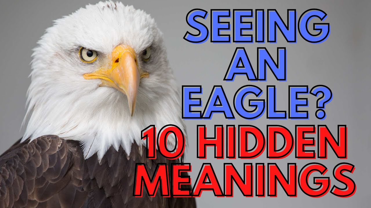 Eagle Symbolism: 7 Powerful Meanings You Should Know 10 eagle symbolism