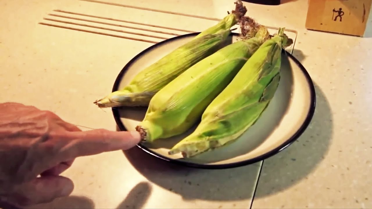 How long to microwave corn on the cob: 5 quick tips for flavor 10 how long to microwave corn on the cob