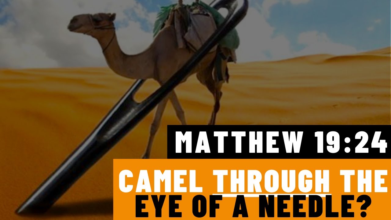 matthew 19:24