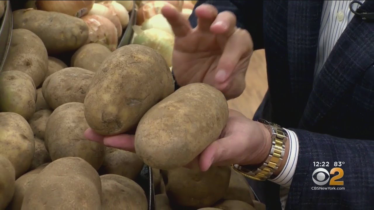 russet potato