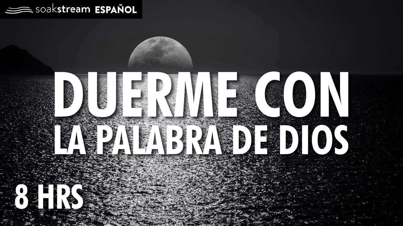 textos biblicos