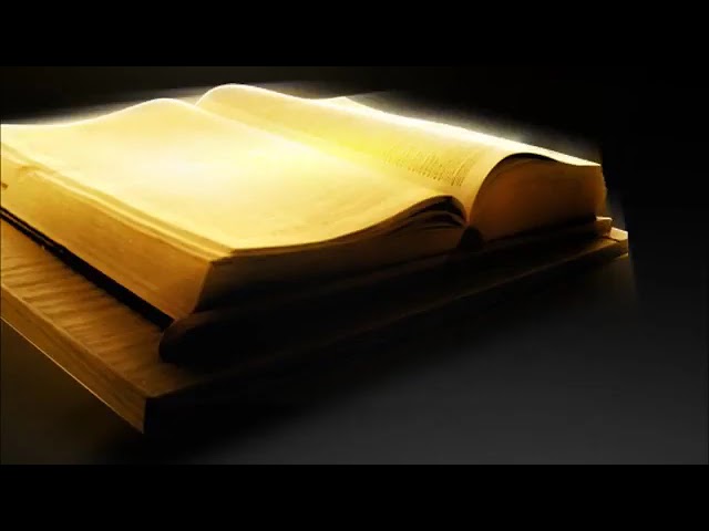 the bible 2