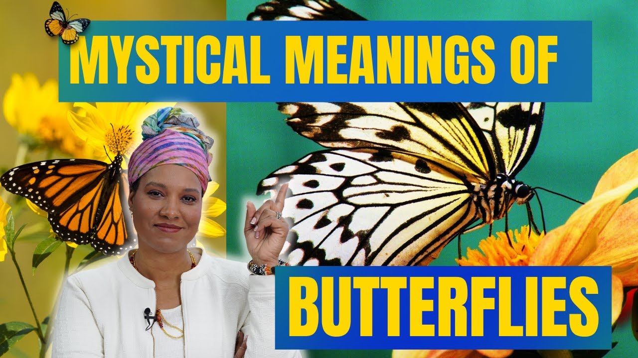 what does a butterfly symbolize