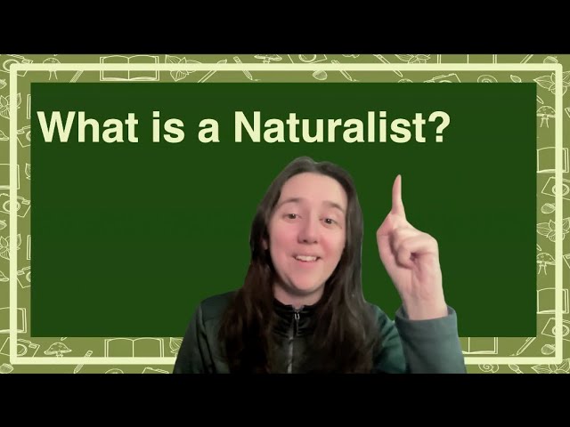 What is a Naturalist? 7 Insights to Understand Today 7 what is a naturalist