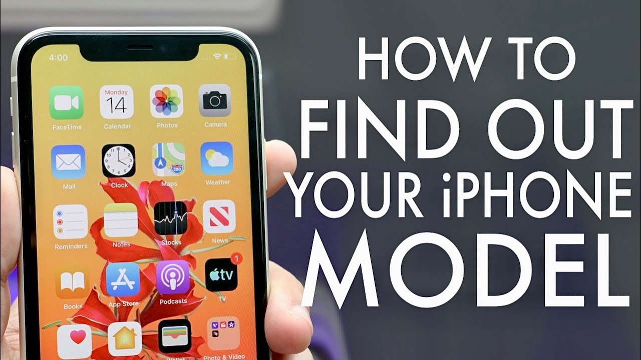 What phone do I have? 5 ways to find out easily! 11 what phone do i have
