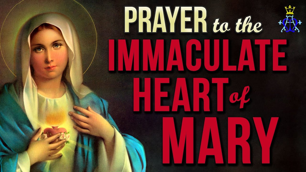 prayer to the immaculate virgin mary