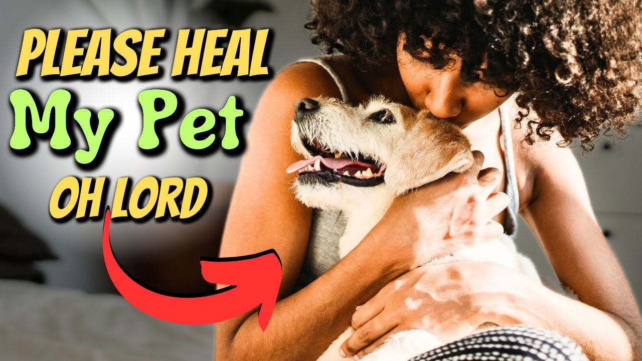 prayer for very sick pet