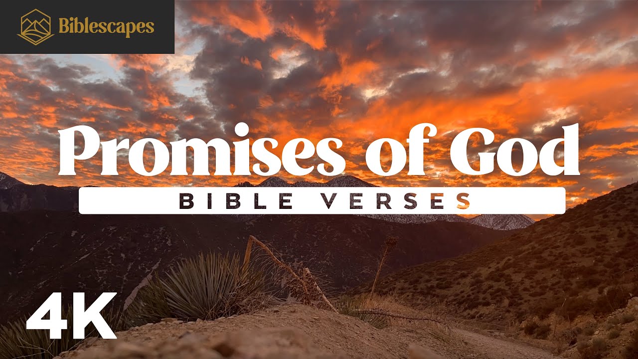 bible verses