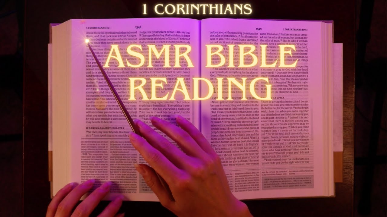 daily bible