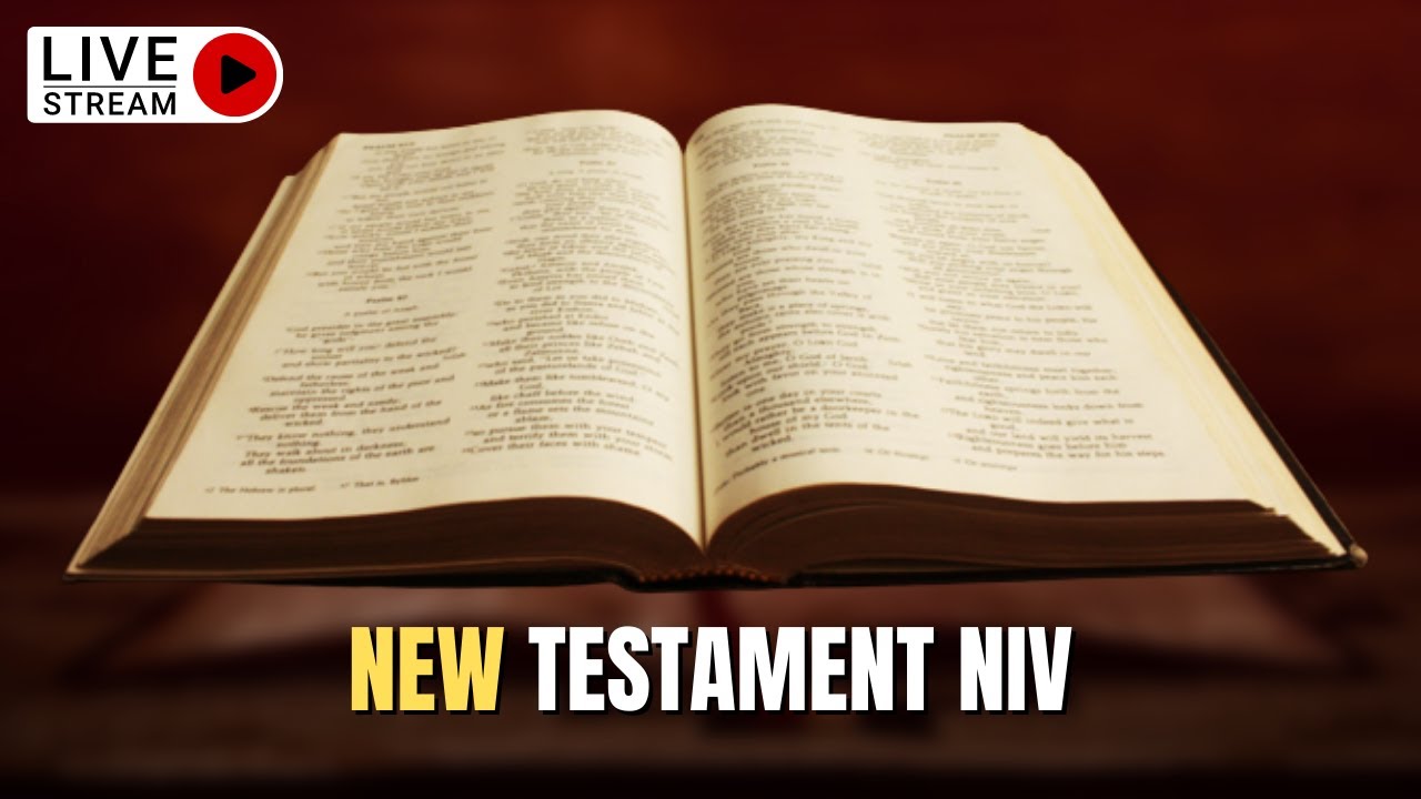 niv bible online free