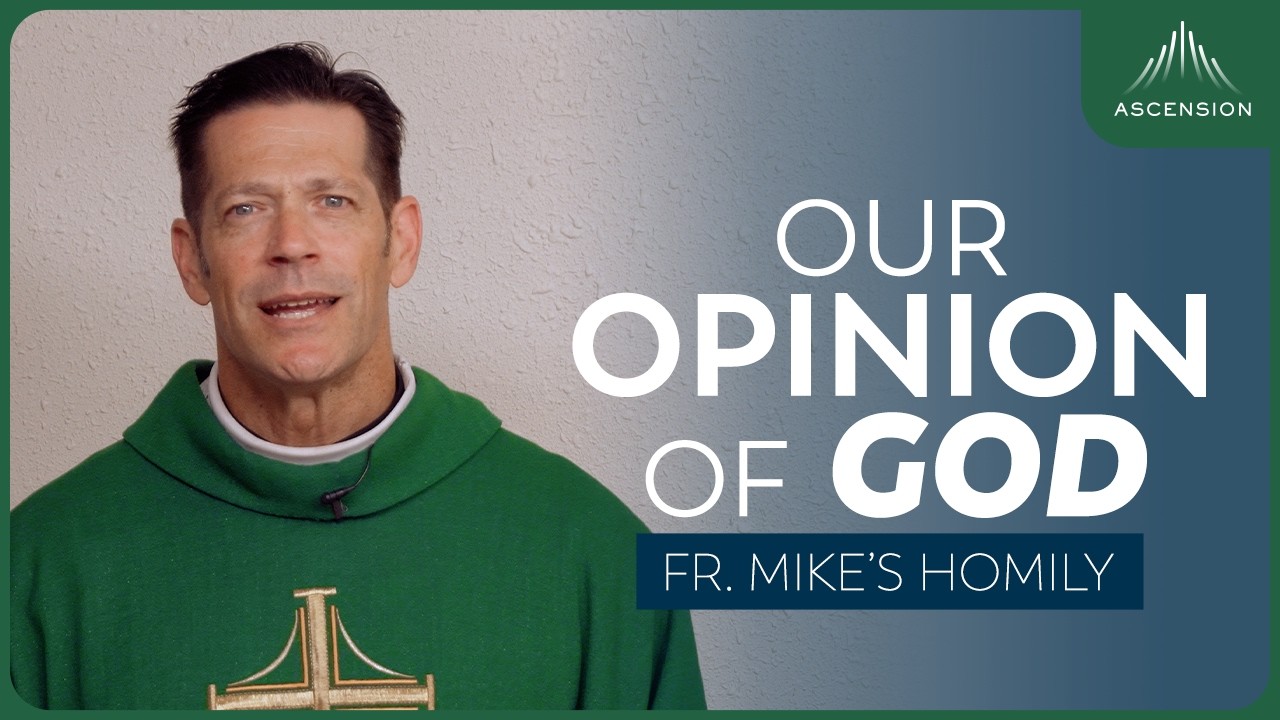 how old is fr mike schmitz