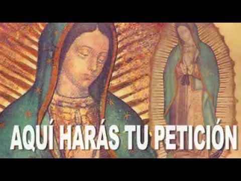 virgencita de guadalupe