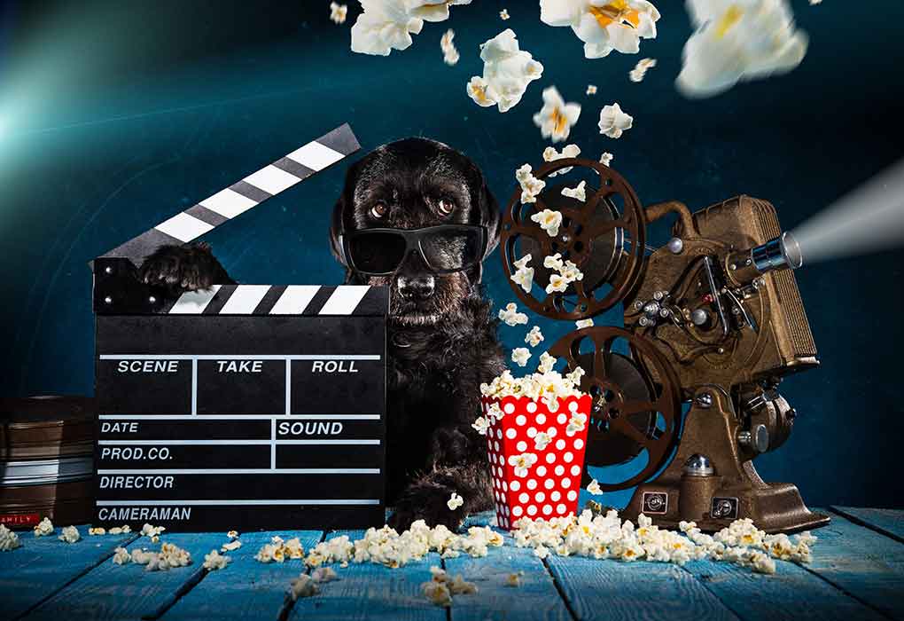 10 meilleurs films pour chiens pour enfants
