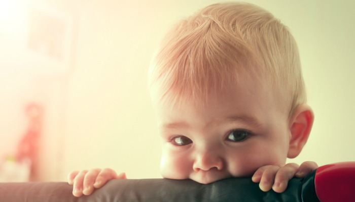 10 choses que seuls les parents de mordeurs comprennent