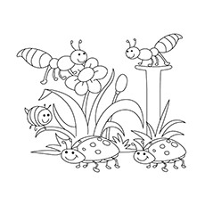 Abeilles au printemps