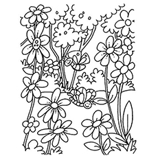 10 belles pages à colorier de lis pour votre petite fille 54 Dessins à colorier de fleurs