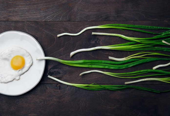 10 meilleurs aliments qui peuvent augmenter votre fertilité 10 mejores alimentos que pueden aumentar tu fertilidad