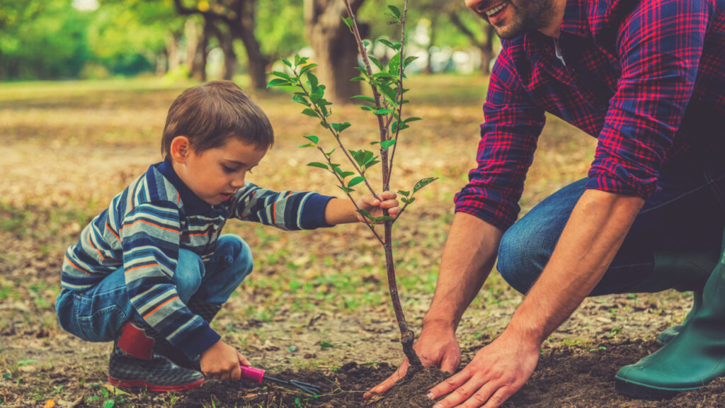 14 noms de bébé inspirés des arbres qui ne ressemblent pas à des arbres