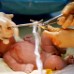 Le rare état du cordon ombilical que vous n'avez peut-être pas entendu 1571960525 404 Como encontrar el mejor pediatra para tu bebe