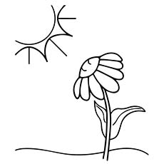 Feuilles à colorier soleil et fleurs mi-été