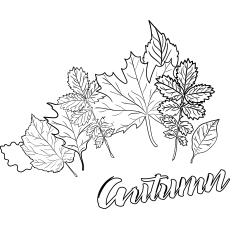 Les 35 meilleures pages à colorier d'automne que votre enfant adorera colorier 65 Coloriage feuilles d'automne à imprimer