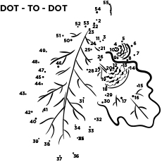 Les 35 meilleures pages à colorier d'automne que votre enfant adorera colorier 68 Feuille de coloriage imprimable point à point automne à automne