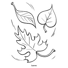 Les 35 meilleures pages à colorier d'automne que votre enfant adorera colorier 60 Couleur des feuilles tombantes pour l'impression