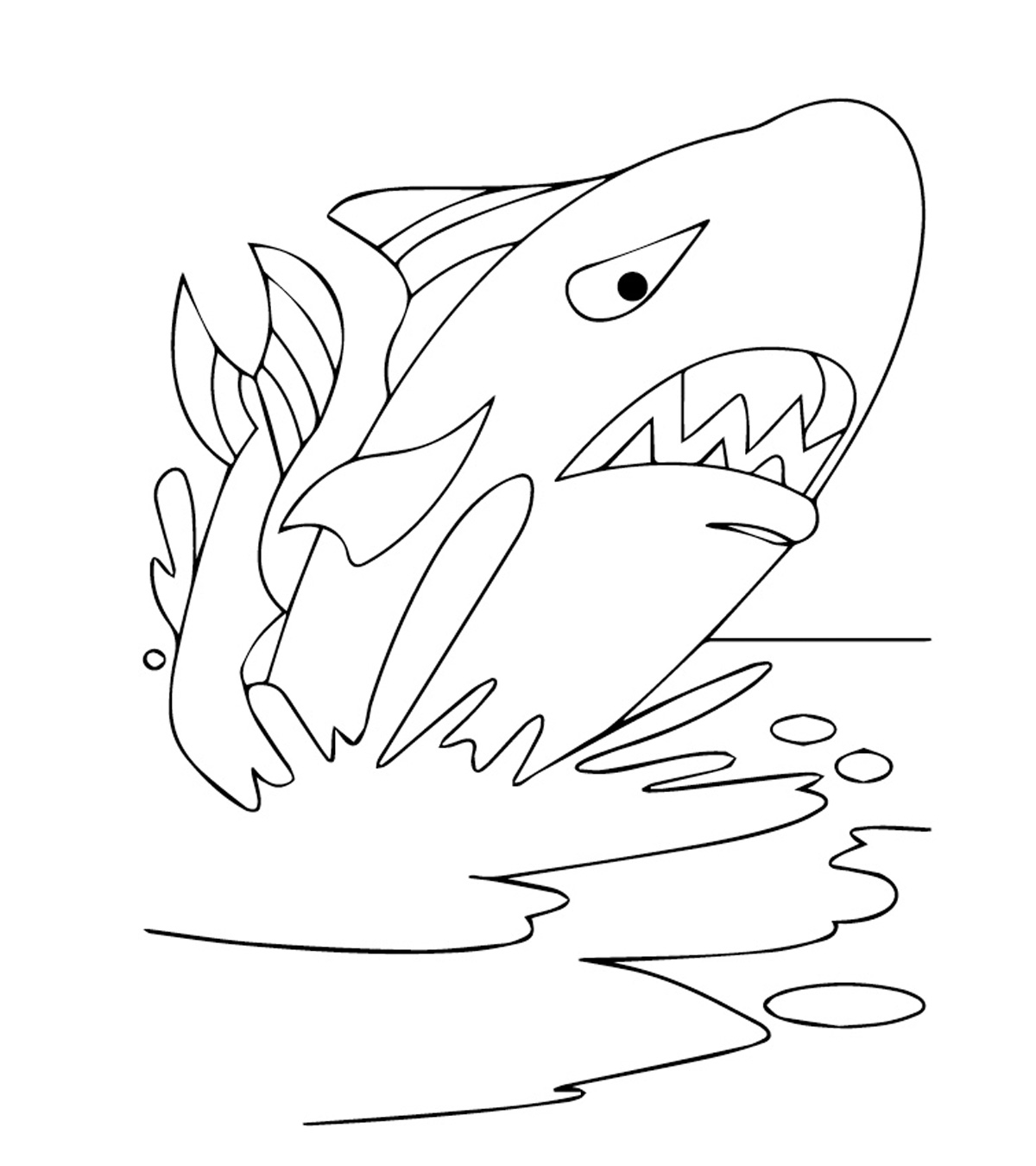 Whale2