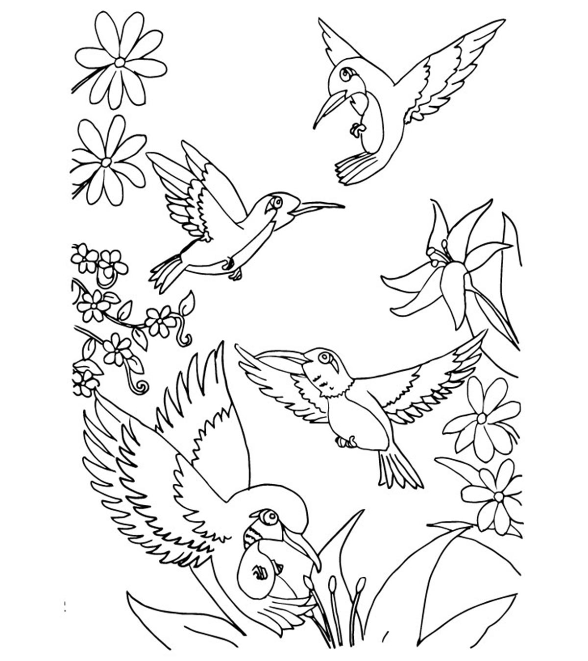 Colibri