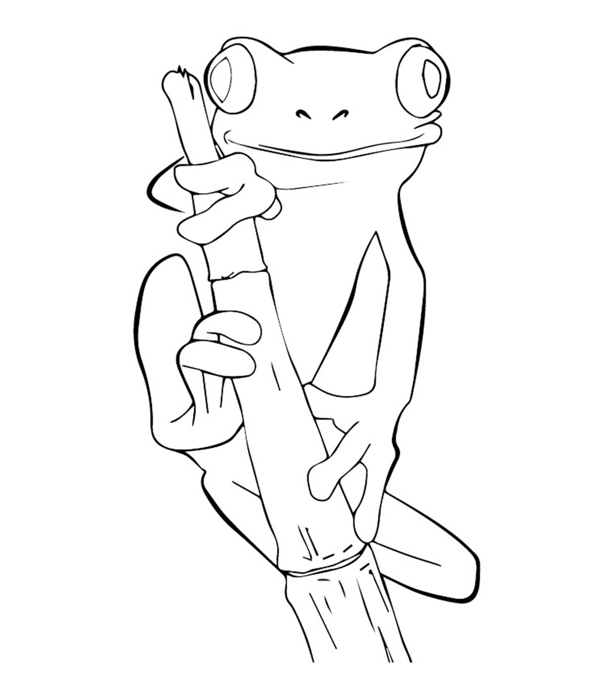 Grenouille