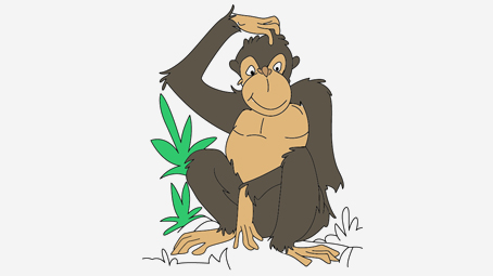 Chimpanzé