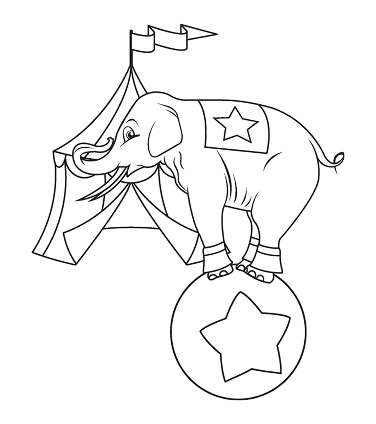 l'éléphant