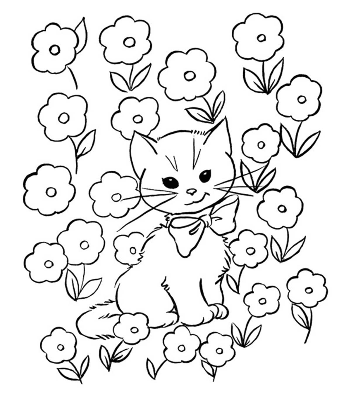 Chat