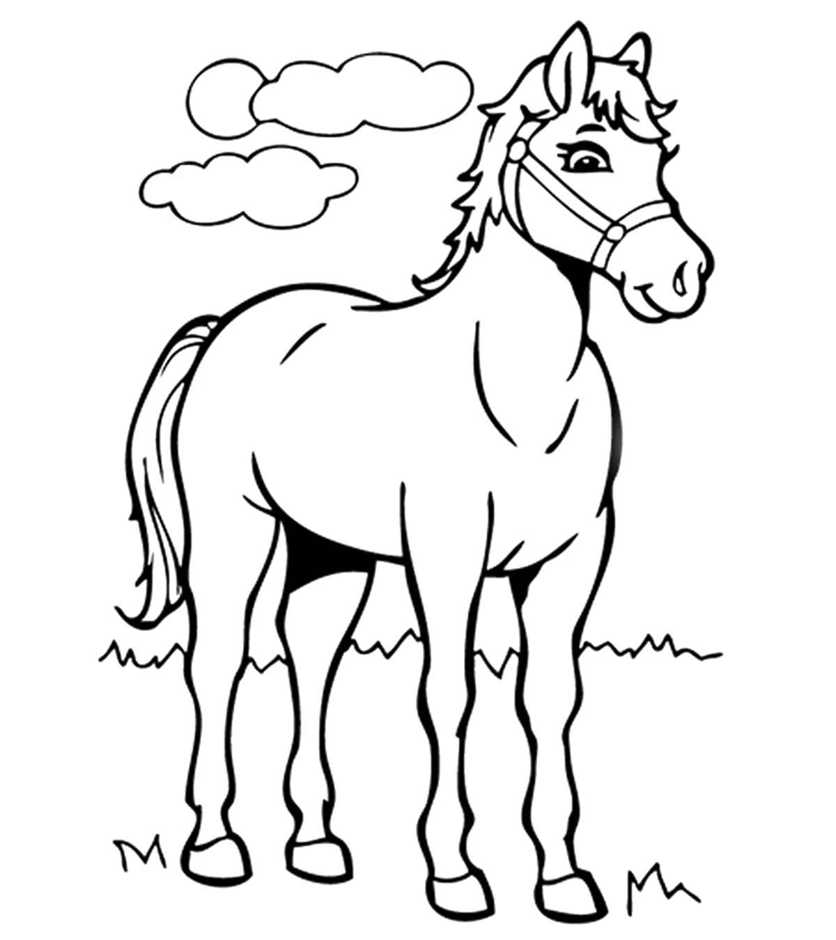 Cheval