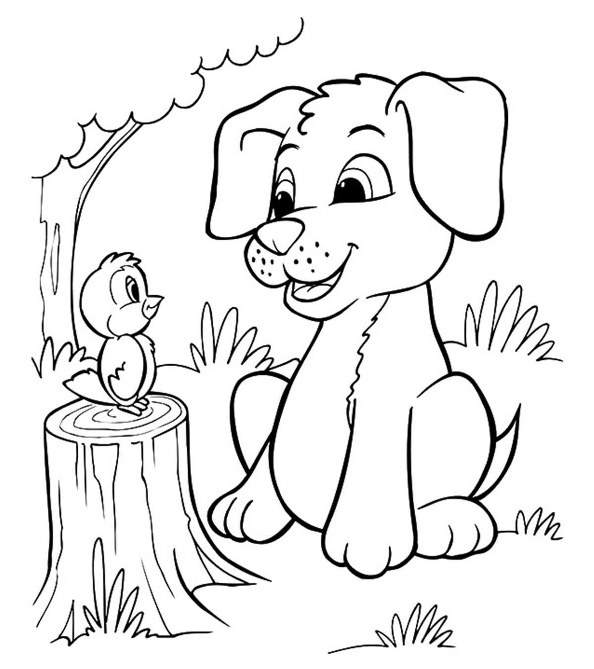 Chiot