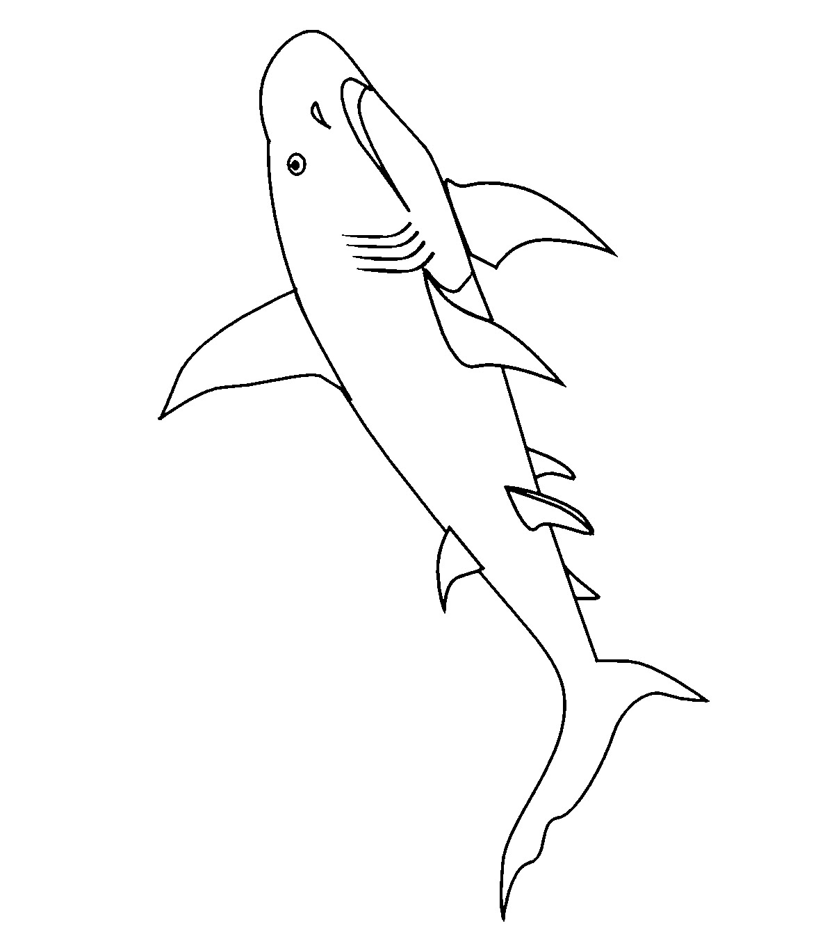 Requin