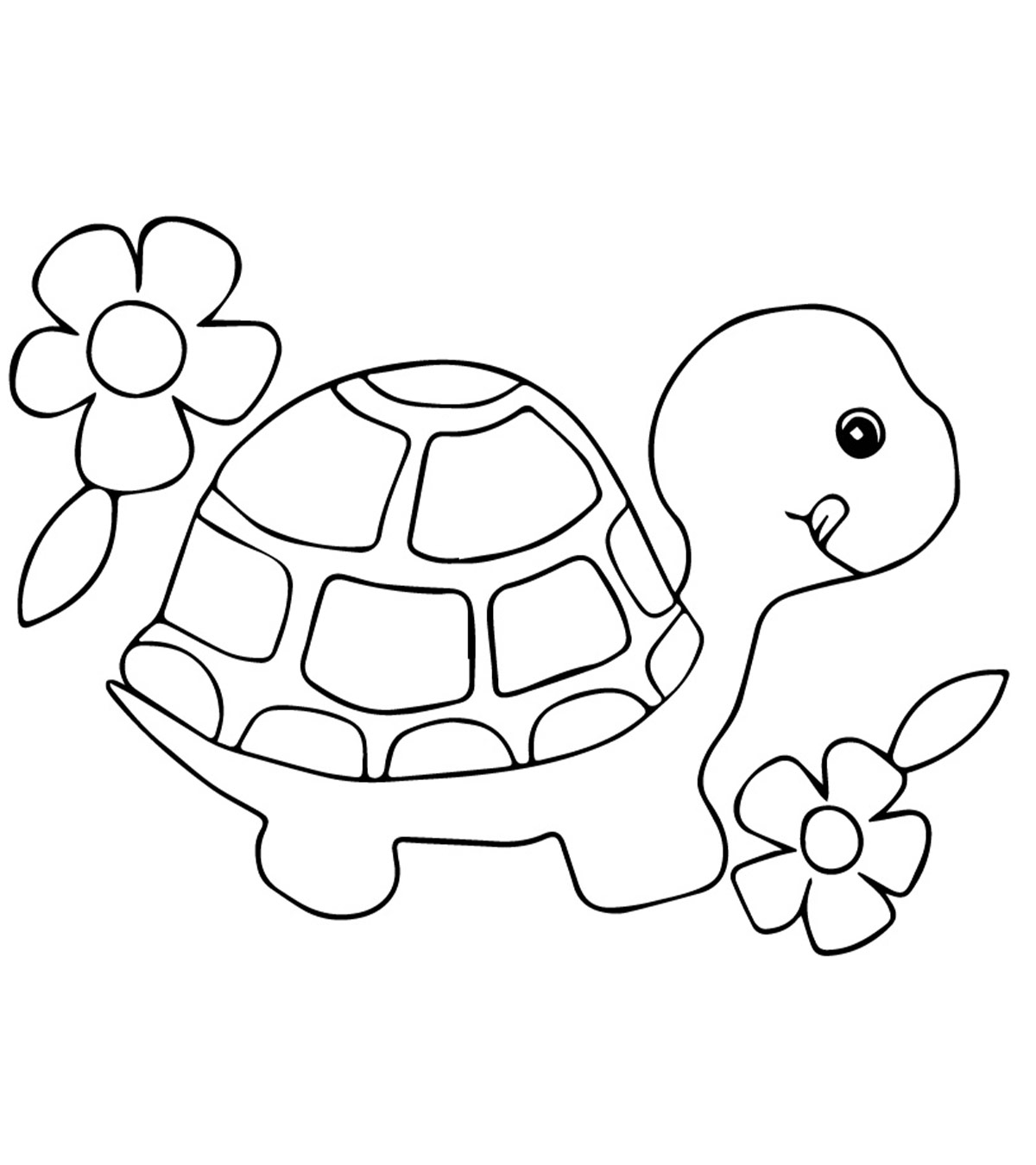 Tortue