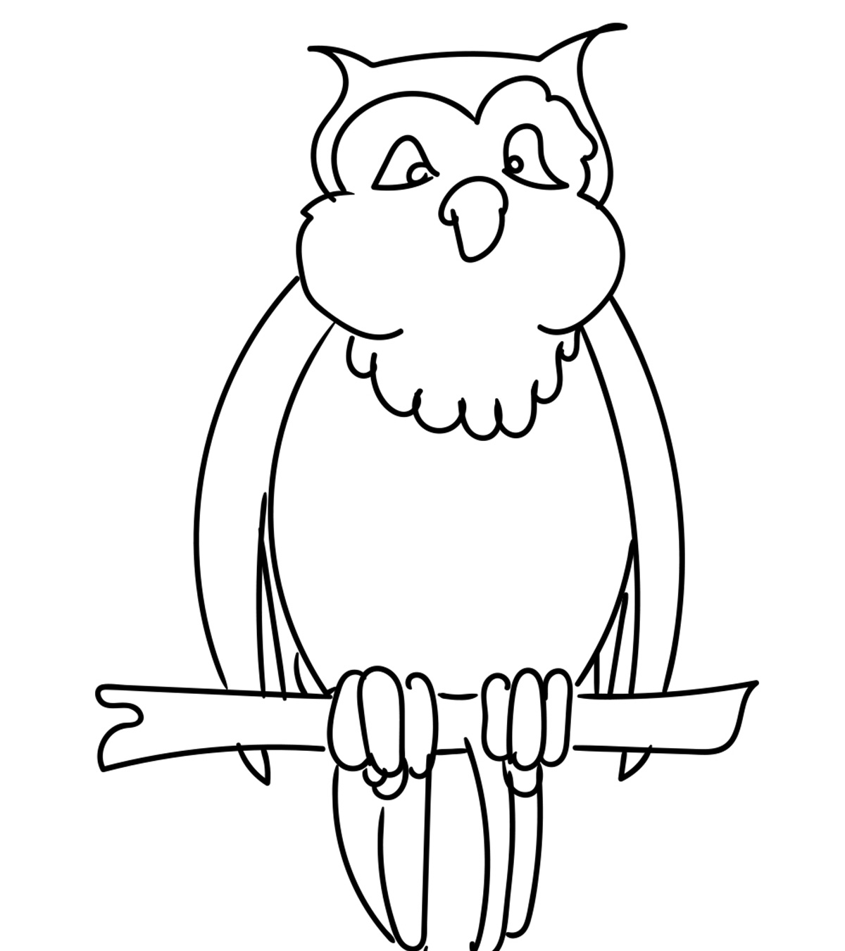 hibou