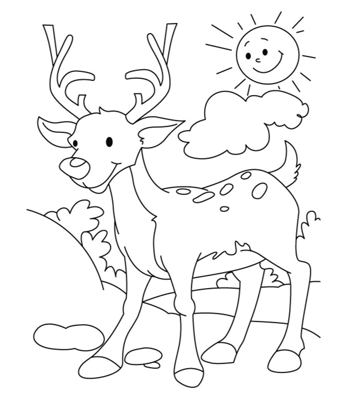 Cerf