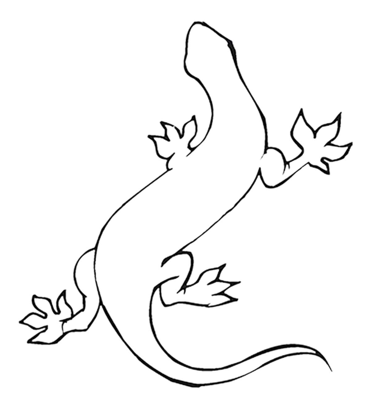 Lézard